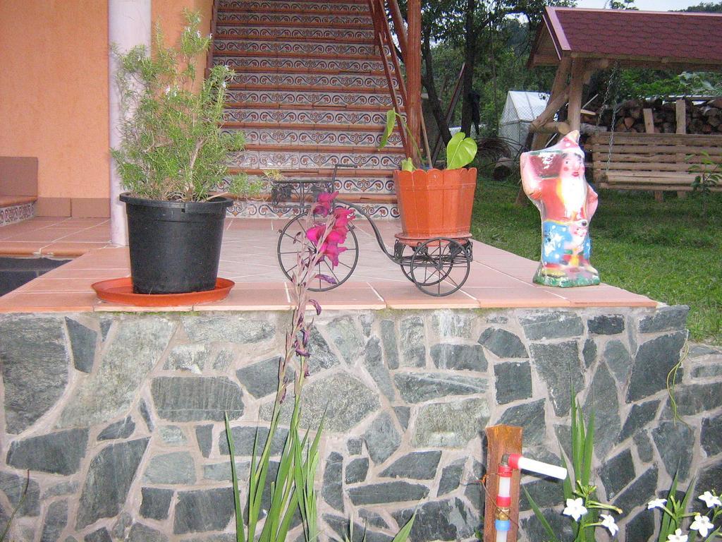 Pensiunea Patricia Oesti-Paminteni Extérieur photo